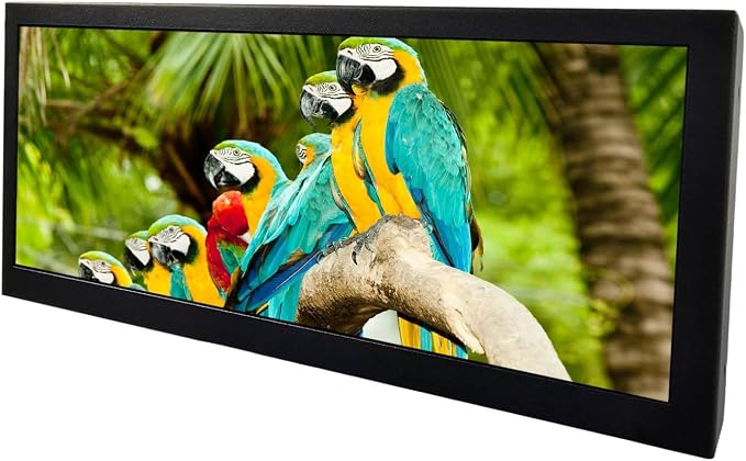12.3'' Monitor +USB Interface