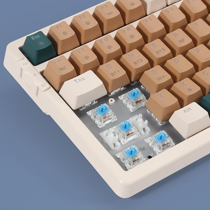 Brown combo blue switch