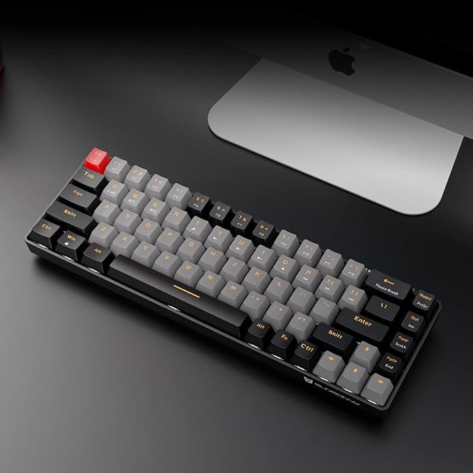 Blue Switch Black & Grey Combo Color