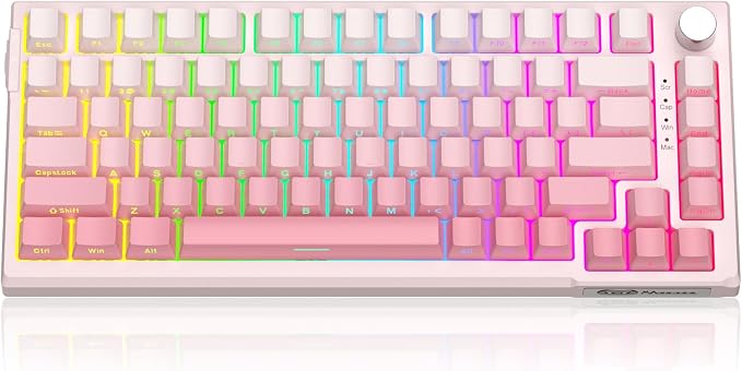 White & Pink / Violet Switch