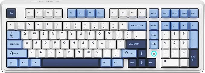 AK980 Blue White