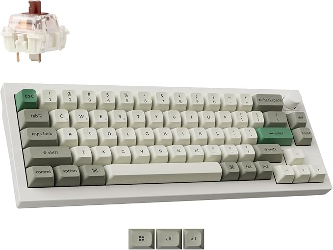 Gateron Jupiter Brown Switch-White