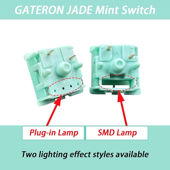 Mint V2