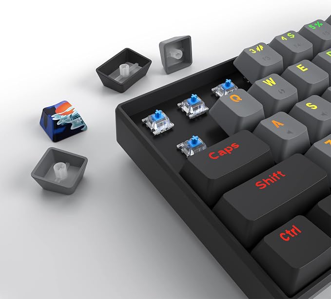 Black/ Blue Switch