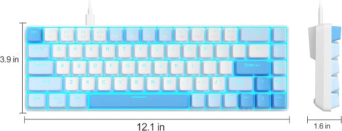 Sky Blue/Red Switch
