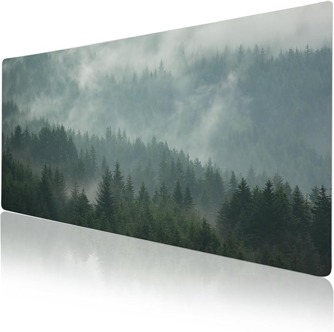 Foggy Forest Valley
