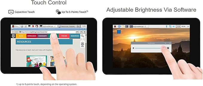 7 inch DSI LCD (with case)