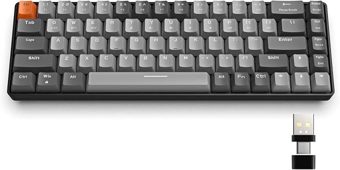 Light Grey/Red Switch