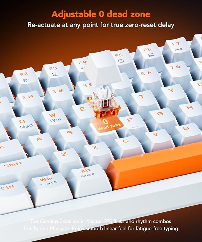 White to Orange Gradient