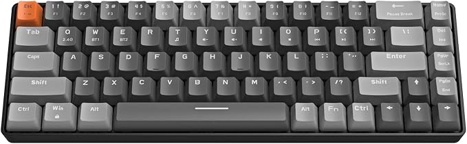 Dark Gray/Blue Switch