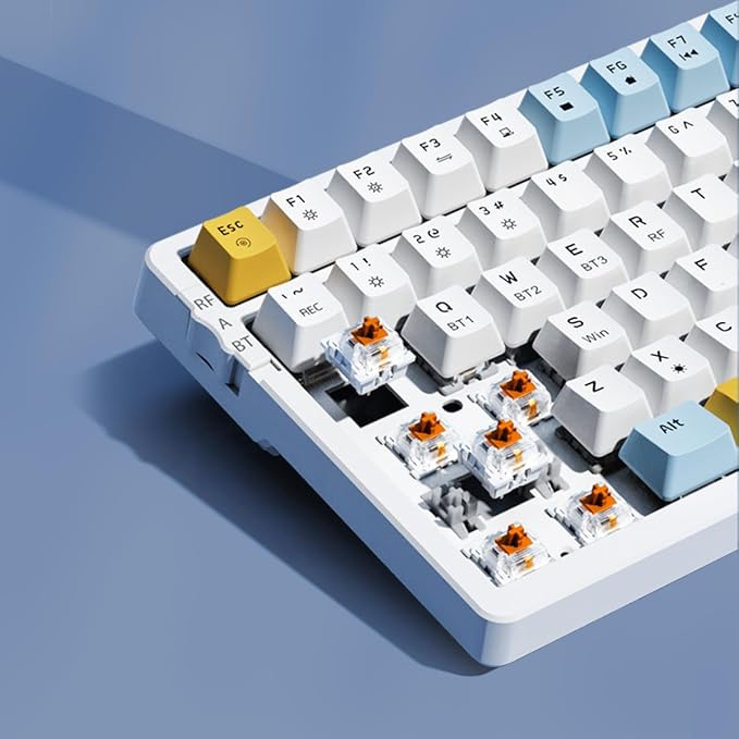 brown switch ice blue backlight
