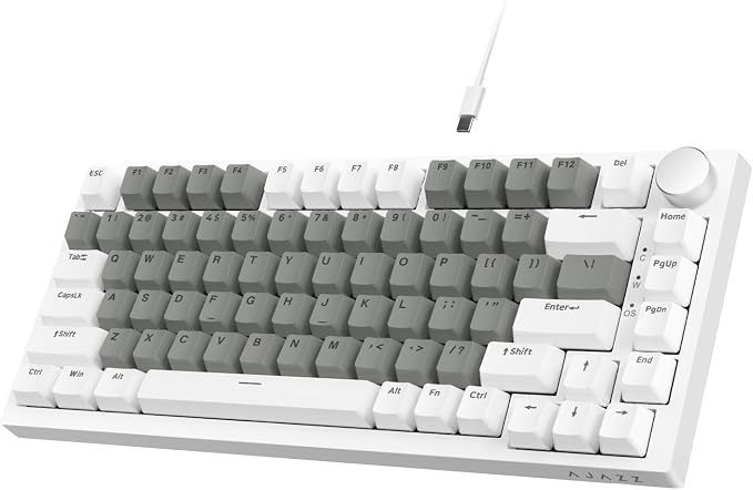 Grey White (HP Switch)