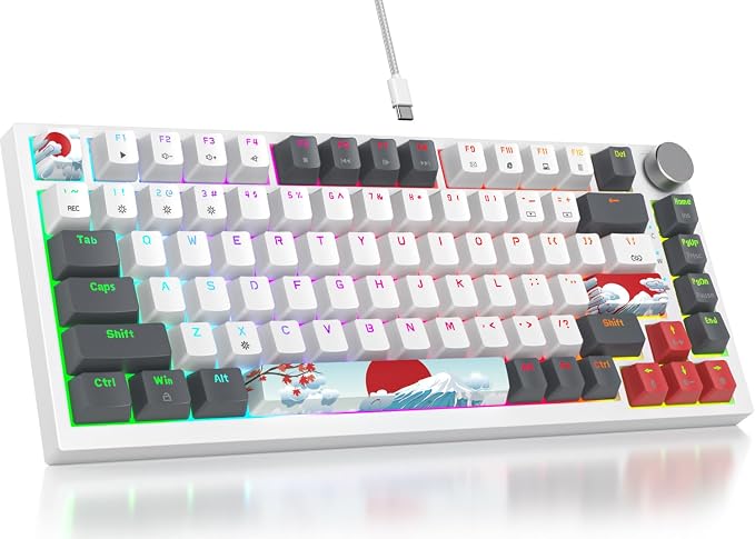 GreyWhite-RedSwitch