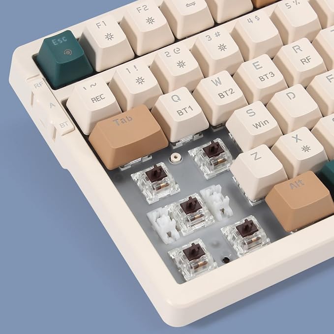 Brown Combo brown switch