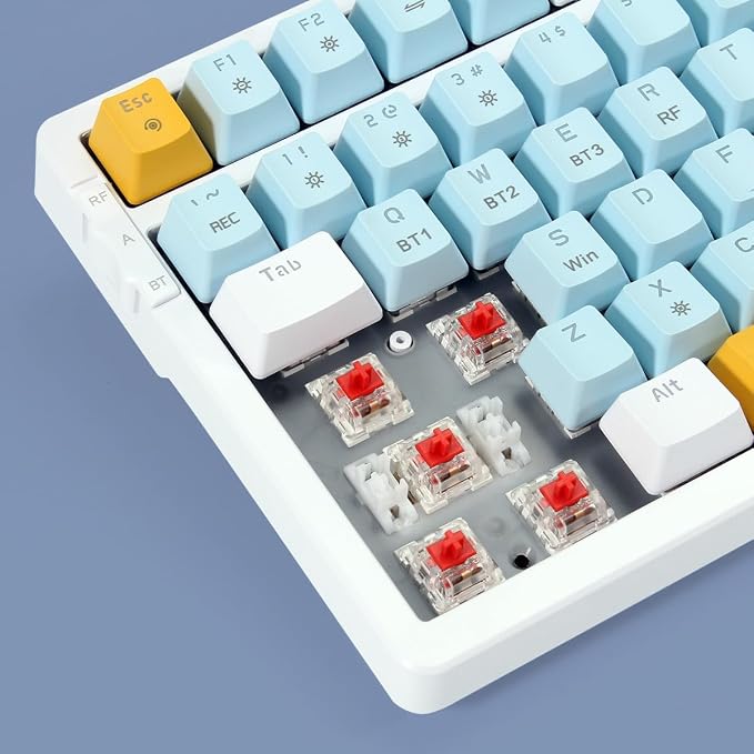 Red switch ice-blue backlight