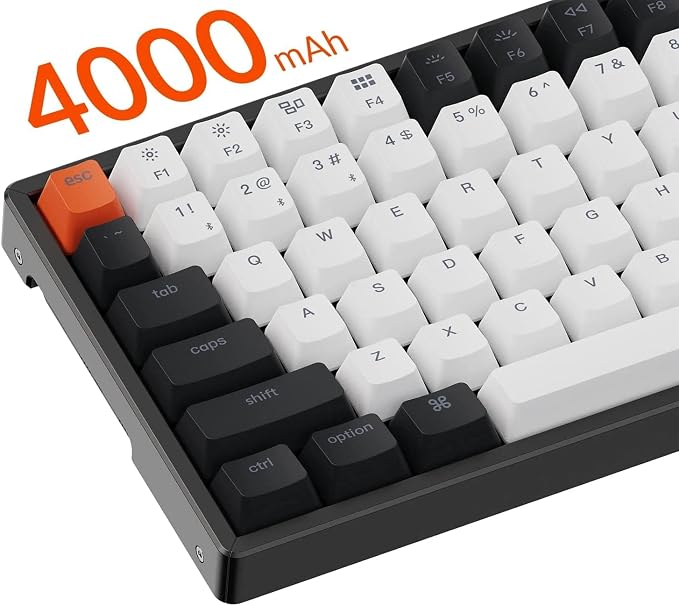 Gateron Brown Switch