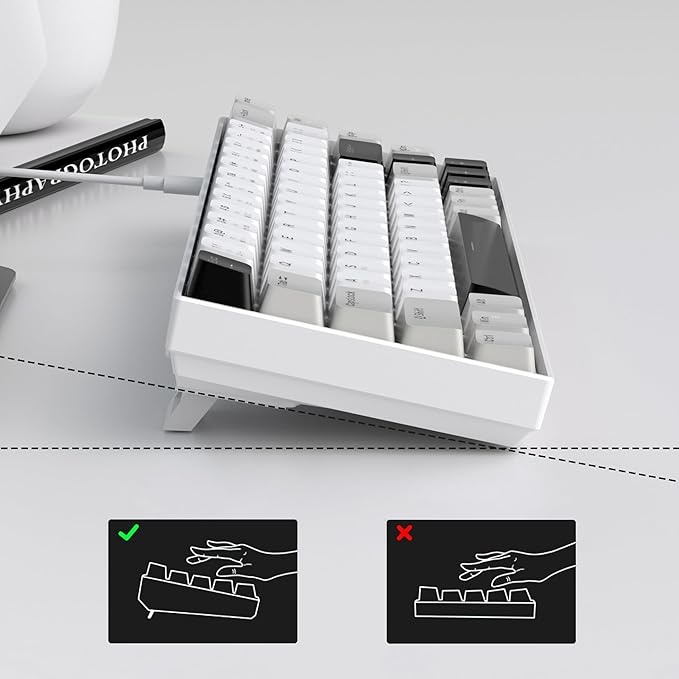 White Grey/Red Switch