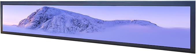 24'' IPS Android LCD Monitor