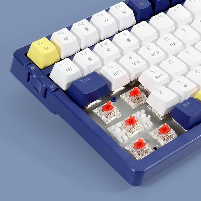 Blue Combo red switch ice-blue backlight