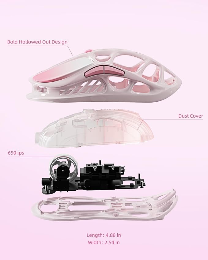 Gradient Pink