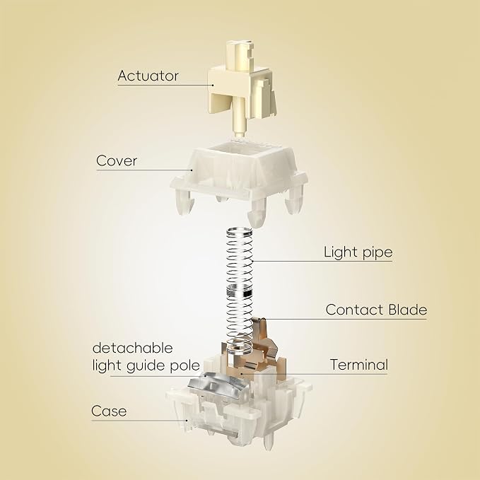 V3 Tactile Switch