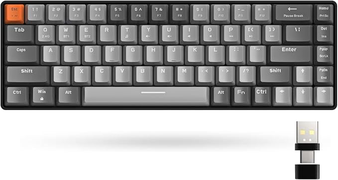 Light Grey/Red Switch