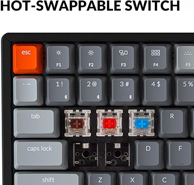 Hot-swappable Brown Switch