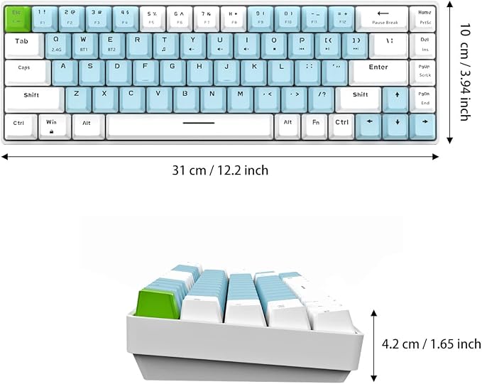 Blue Switch Blue & White Combo Color