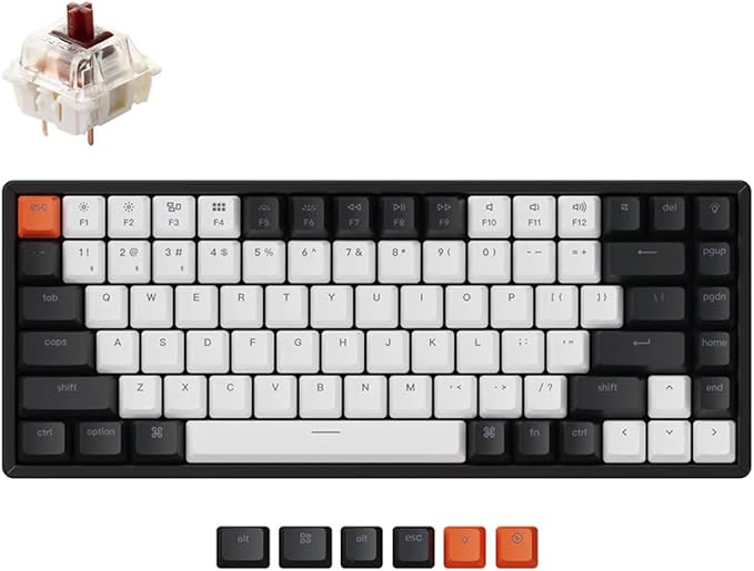 Gateron Brown Switch