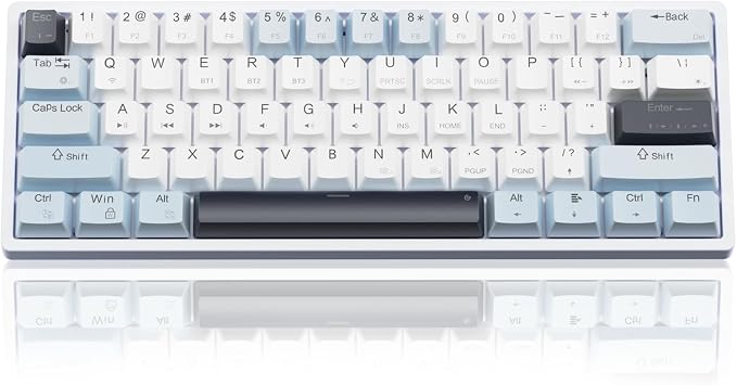 SK961-whiteblue-redswitch