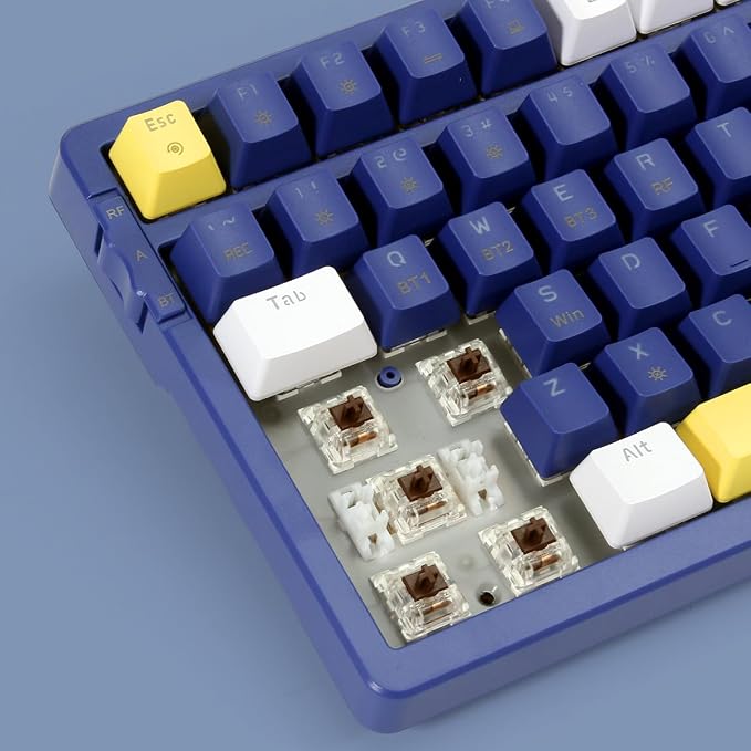 Blue combo brown switch ice blue backlight