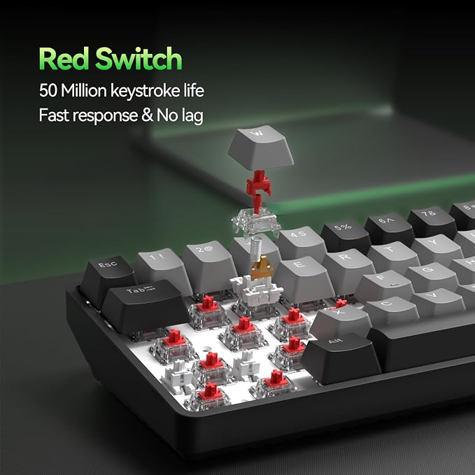 Black Grey/Red Switch