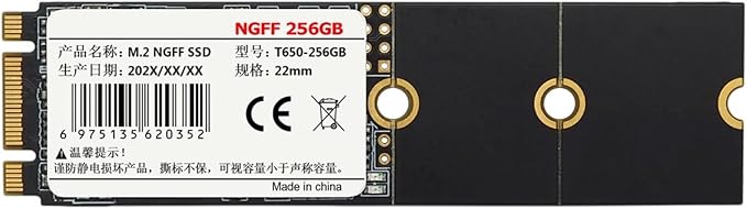 NGFF M.2 256GB(2280)