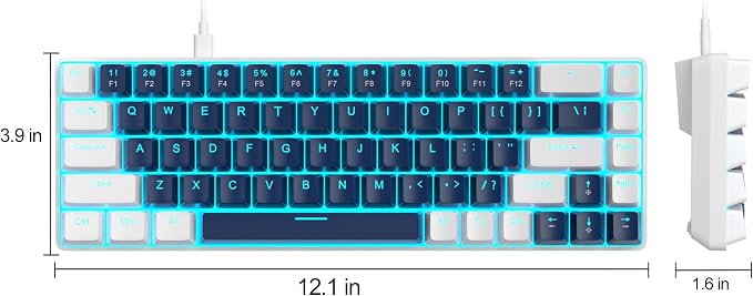 Blue/Blue Switch
