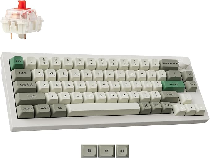 Gateron Jupiter Red Switch-White