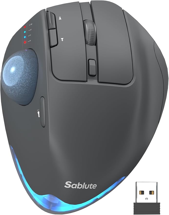 Gray Mouse