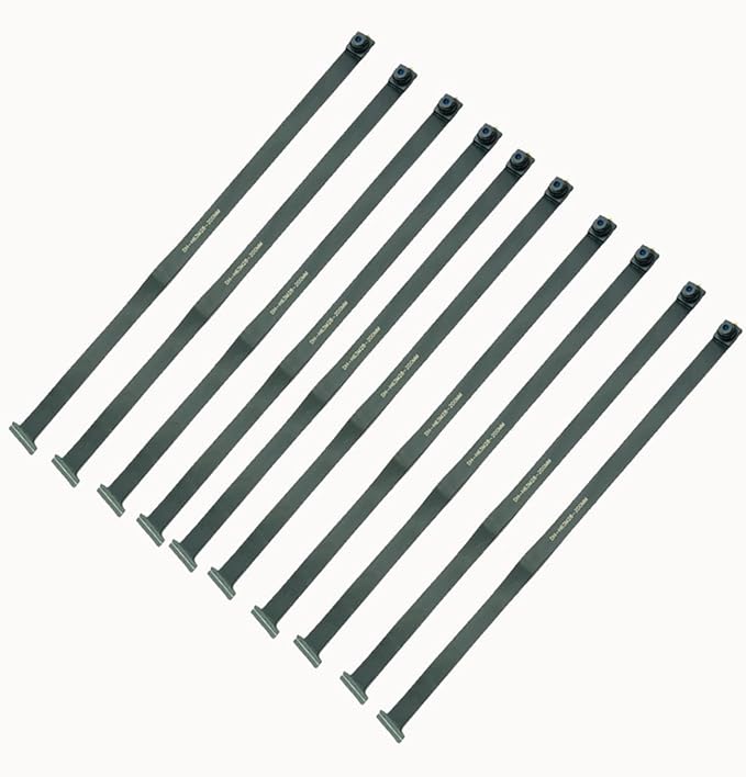 10pcs