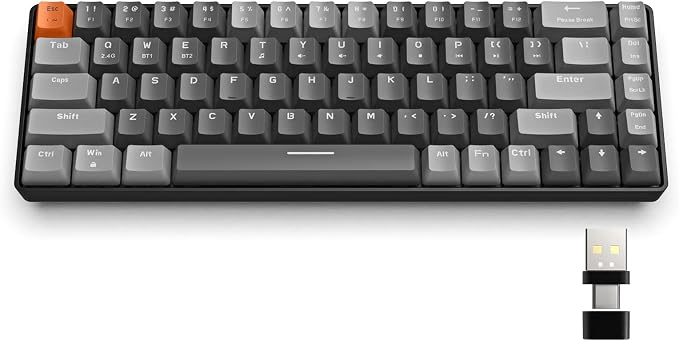 Dark Grey/Red Switch