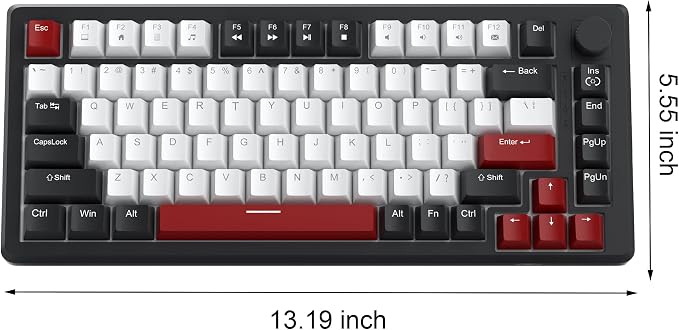 Black & White - Red Switch