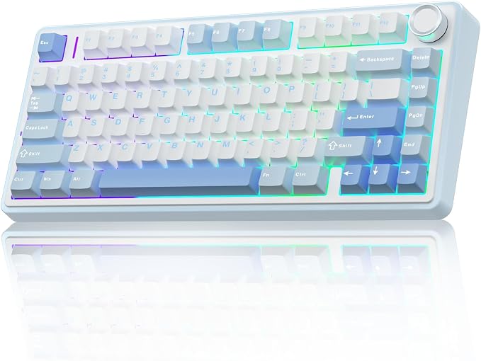 Salt White Blue