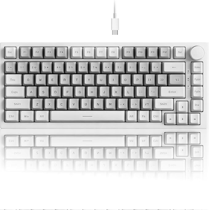 Similar HP Switch White-Grey