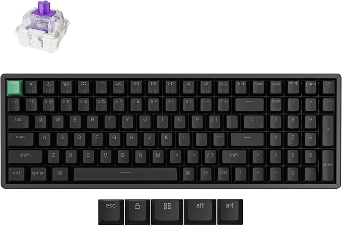 Standard Version Black