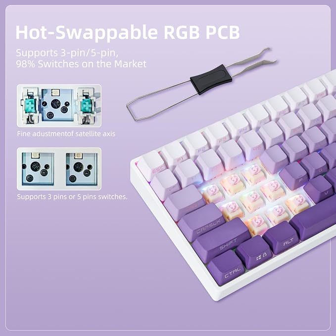 Purple Gradient
