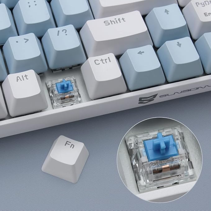 Blue Switch Blue & White Combo Color