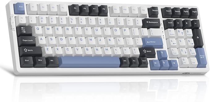 Black Blue/Ivory White Switch