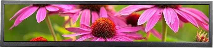 24'' IPS LCD Monitor