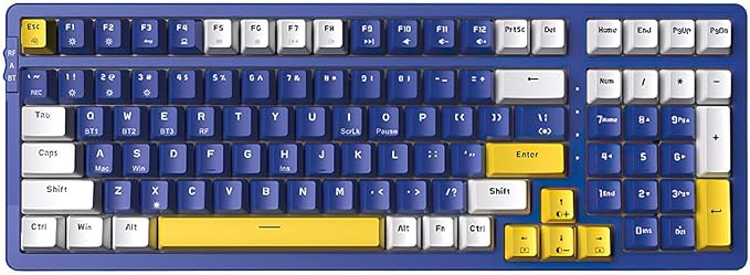 Brown Switch-Dark Blue & Yellow