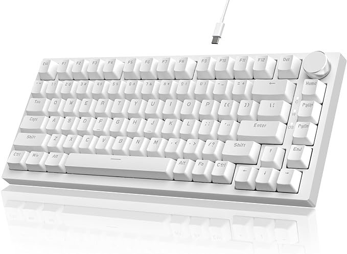 white/blue switches
