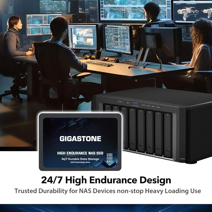 1TB HIGH ENDURANCE NAS SSD 2-Pack