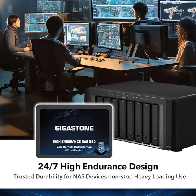 512GB HIGH ENDURANCE NAS SSD 1-Pack